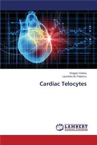 Cardiac Telocytes
