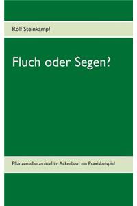 Fluch oder Segen?