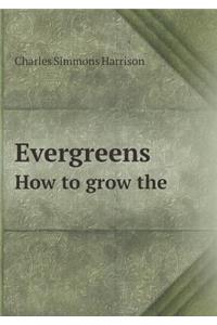 Evergreens How to Grow the