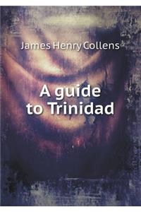 A Guide to Trinidad