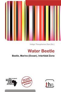 Water Beetle