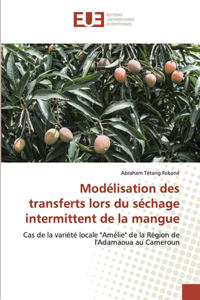 Modélisation des transferts lors du séchage intermittent de la mangue
