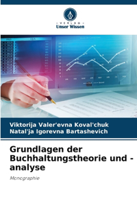 Grundlagen der Buchhaltungstheorie und -analyse