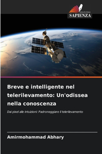 Breve e intelligente nel telerilevamento