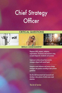 Chief Strategy Officer Critical Questions Skills Assessment