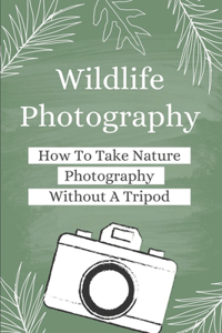 Wildlife Photography