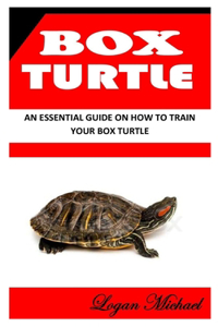 Box Turtle