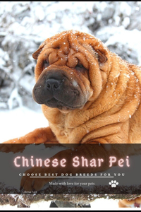 Chinese Shar Pei