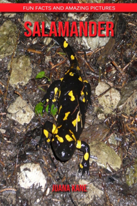 Salamander