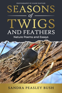 Seasons of Twigs and Feathers