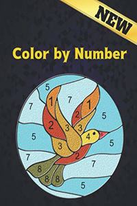 Color by Number