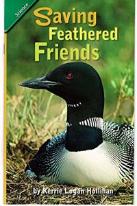 Reading 2011 Leveled Reader 6-Pack 6.1.5 on