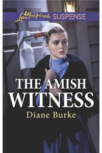 The Amish Witness