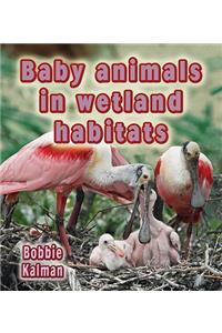 Baby Animals in Wetland Habitats