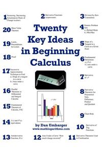 Twenty Key Ideas in Beginning Calculus