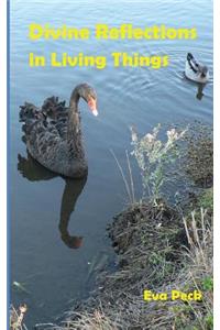 Divine Reflections in Living Things