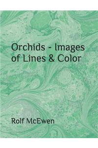 Orchids - Images of Lines & Color