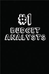 #1 Budget Analysts