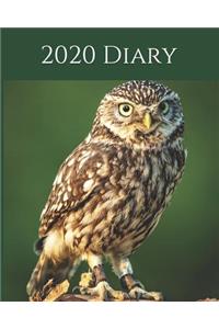 2020 Diary