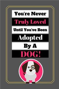 You're Never Truly Loved Until You've Been Adopted By A Dog!