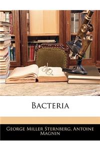 Bacteria