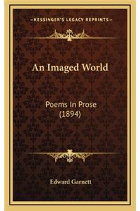 An Imaged World
