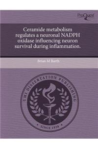 Ceramide Metabolism Regulates a Neuronal Nadph Oxidase Influencing Neuron Survival During Inflammation