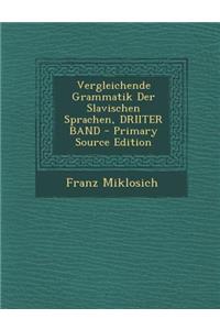 Vergleichende Grammatik Der Slavischen Sprachen, Driiter Band (Primary Source)