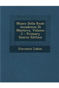 Museo Della Reale Accademia Di Mantova, Volume 3