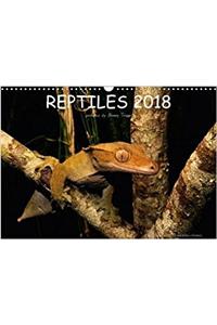 Reptiles / UK-Version 2018