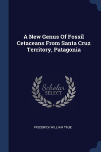 A New Genus Of Fossil Cetaceans From Santa Cruz Territory, Patagonia