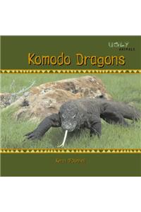 Komodo Dragons