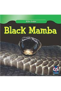 Black Mamba