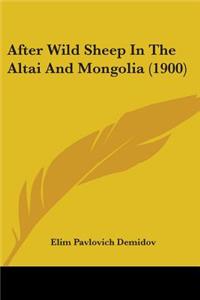 After Wild Sheep In The Altai And Mongolia (1900)