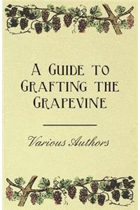 Guide to Grafting the Grapevine