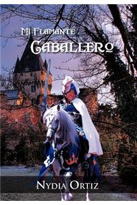 Mi Flamante Caballero
