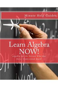 Learn Algebra NOW!