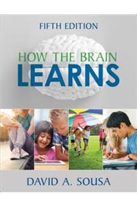 How the Brain Learns