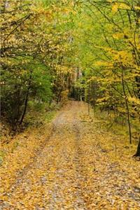 Mind Blowing Autumn Forest Path 200 page lined journal