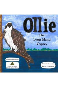 Ollie The Long Island Osprey