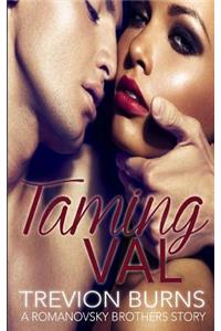 Taming Val