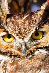 Up Close with a Great Horned Owl Journal