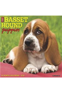 Just Basset Hound Puppies 2019 Wall Calendar (Dog Breed Calendar)