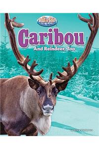 Caribou