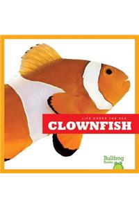Clownfish