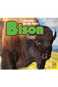 Bison