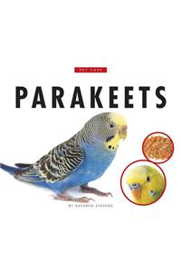 Parakeets