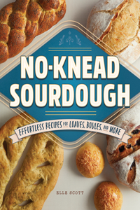 No-Knead Sourdough