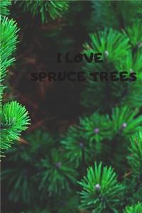 Spruce Tree