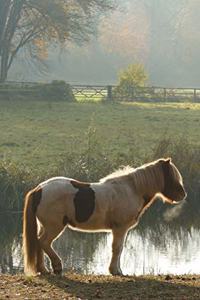 Horse on a Crisp Winter Morning Journal